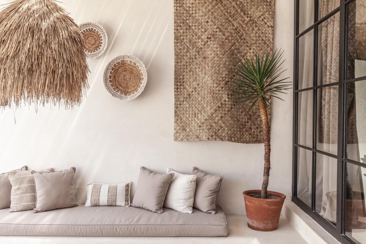 Yucca *